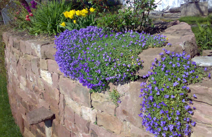 Flagstone and retaining walls are other popular hardscape features using landscape stones. (Photo courtesy of sxc.hu)