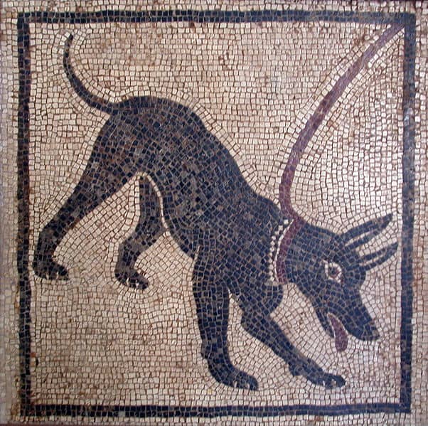 Cave Canum! A Roman mosaic from Pompeii on display at the Museo Archaelogico in Naples, Italy. Photographed by Massimo Finizio. Image Courtesy Wiki Commons