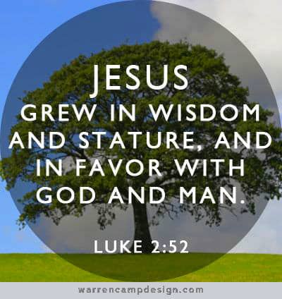 This statement summarizes Jesus' status when He was 12. We don't hear from Him until He was 30 years old.