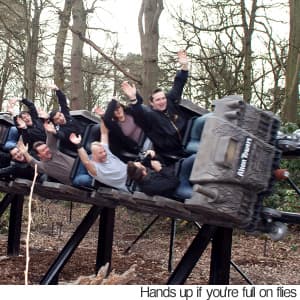 June 25, 2010 1:00 PM A theme park is being forced to spray a roller coaster with insect repellent -- because open-mouthed riders are swallowing flies.