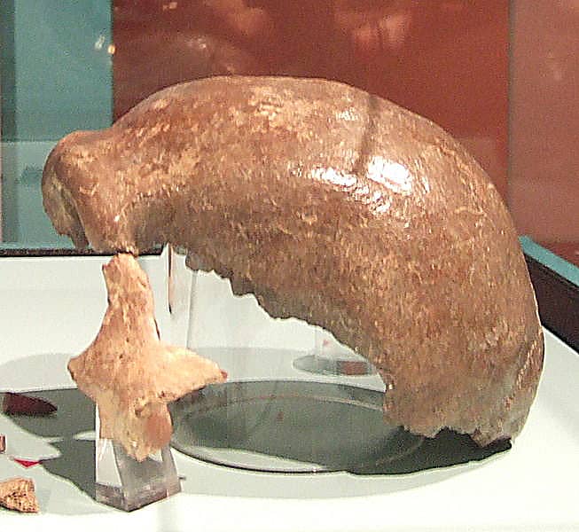 Neanderthal 1, lateral view, front/left: the pieces of the temporal and zygomatic bone discovered in 2000