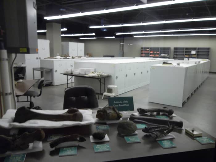 The lab at the Gray Fossil Site. Many paleoanthropologists spend time in similar labs, working to process, identify, and preserve fossils.