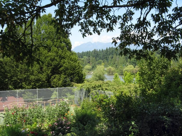This is a view of Lost Lagoon from the tennis courts, with the North Shore Mountains in the background.