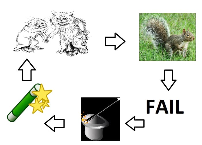 Fighting cats leads to a cat fighting with a squirrel and then to a cat fail and then to cat magic and another cat magic and then back to the beginning. Phew.