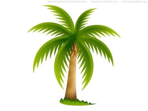 Remember to incorporate meaningful symbols into your Arabian nights wedding theme. Add real palm trees or in decorations.
