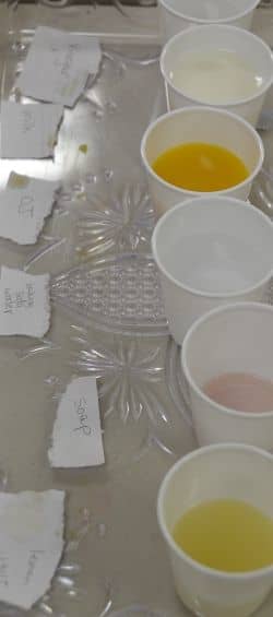 pH Scale - This photo was taken by Michelle Harrison, who participates in our class: https://www.facebook.com/MichelleHarrisonPhotography