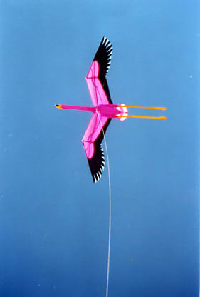 Our flamingo kite was our pride and joy ...sadly, that frizzled once we got there.