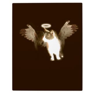 This vintage-style angel kitten comes on a whole host of gifts and cards that you can personalise by adding your own text and images http://www.zazzle.com/vintage_angel_kitten_plaque-200726671046219280