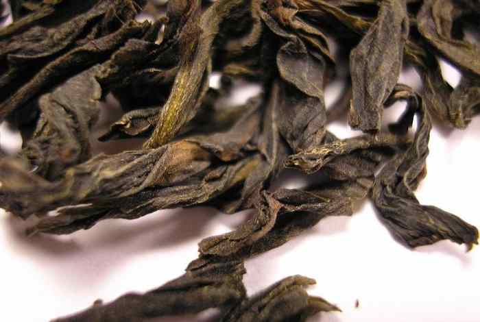 tea-and-health-benefits-of-tea