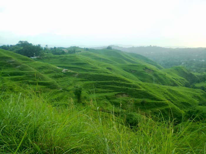 Lush greenery of a hill station. You can use this image only after giving a clickable link to this article.