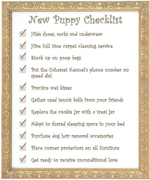 Free WalMart Puppies HubPages