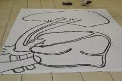Bed sheet with the circulatory system drawn on it so children can walk through the system and name the parts. (A chalk drawing on a driveway would also work.)