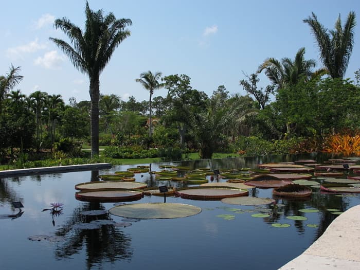 Consisting of 170 acres of cultivated gardens and preservation land, the Naples Botanical Garden represents seven ecosystems and has over 1,000 different species. Founded in the early 90's, the garden is located at 4820 Bayshore Drive.