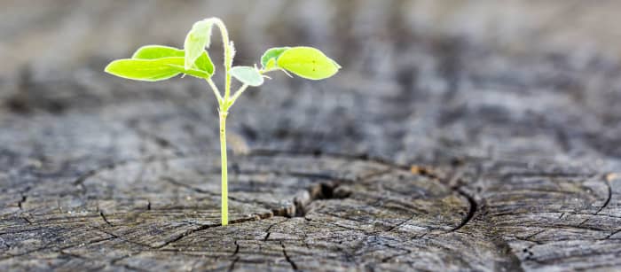 You have to stay on course you have to stay in there with the Lord when things don’t turn out. You have to deal with the fact that sometimes things are delayed and your hope is deferred. Hope doesn’t disappoint us.
