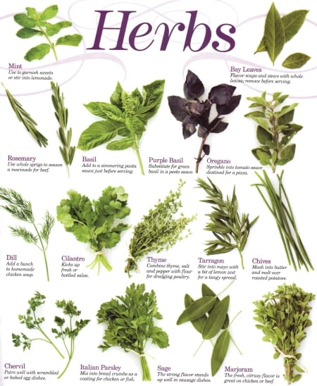 Which Herbs taste best with what foods? - HubPages