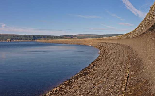 Travel North - 36: Kielder Wildlife Park, Woodland Wonderland in ...