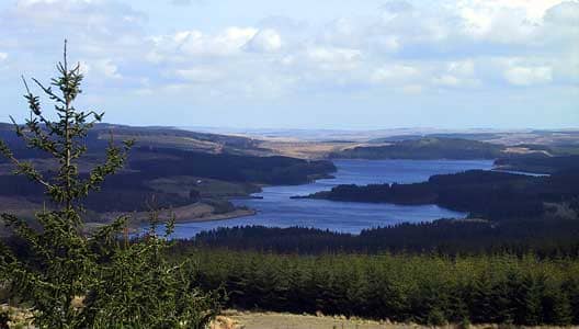 The long view: Kielder Water from the north, its shores bristling with forest - the scheme was to provide work experience, mainly for ex-miners and shipworkers from Tyneside and around urban Northumberland