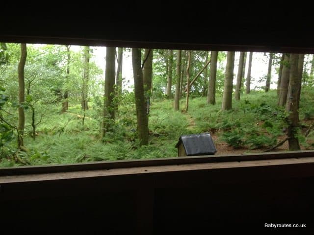 Leaplish Waterside, squirrel watching hide for visitors to observe a rarity in mainland Britain. Red squirrel has been pushed to several corners of the country by the grey variety imported by some fool aristocrat from America in the 19th Century