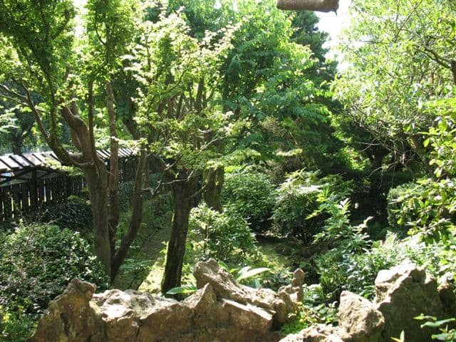 Japanese Gardens Kildare Ireland - HubPages