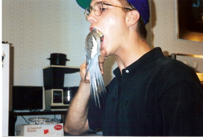 My youngest son and our bird 'Trouble' were good friends...'Trouble' liked to put his head in my son's mouth.