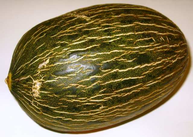 the-christmas-or-santa-claus-melon-how-to-find-and-enjoy-it-delishably