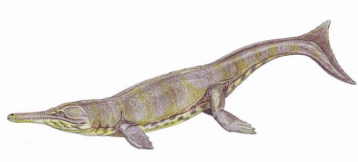 As an ocean going crocodilian, any time travelling human would have to afford it the same respect they show to its modern freshwater relatives.