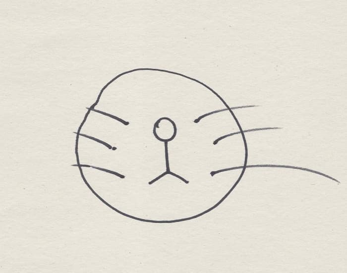 Draw lines (aka whiskers) around the dots. I may have made one a little too big. This doesn't need to be perfect- just have fun!