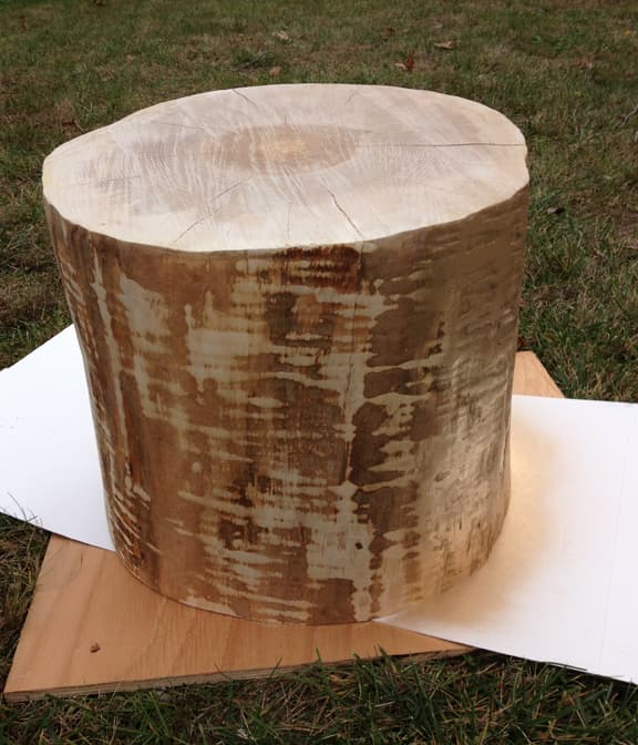 The lines that you see on the stump are not from sanding but are the natural striations in the tree.
