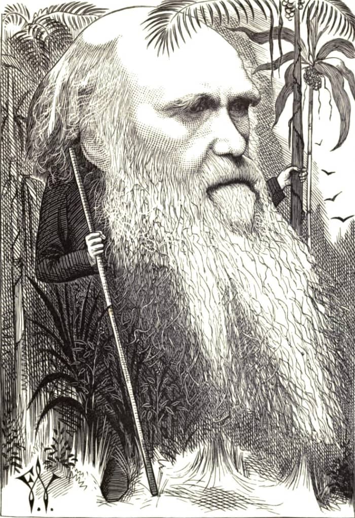 Caricature of Charles Robert Darwin