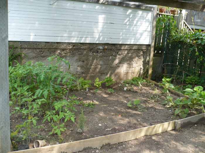 So fun and such an easy backyard makeover that will make you happy all summer long.
