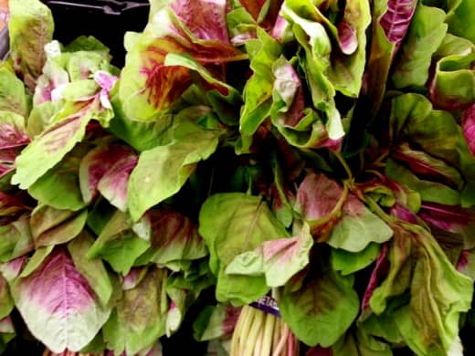 Red leaf vegetable amaranth or Chinese Spinach (bayam merah in Malay) with its distinctive red and green colored leaves. Chinese Spinach is sometimes confused with water spinach (kangkong)