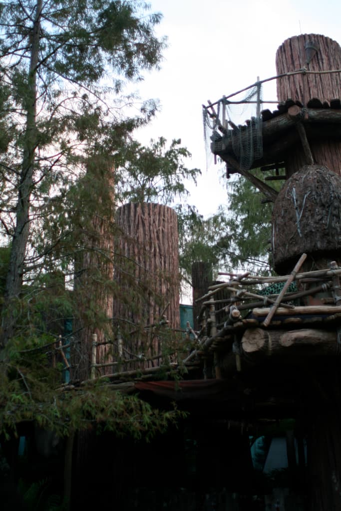 Ewoks make their homes up in trees.