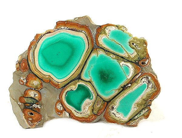 Clay Canyon (Fairfield) Variscite