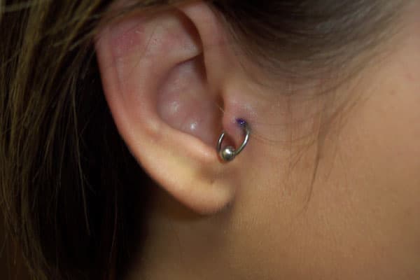 Tragus pierced with a captive bead ring. Many prefer a hoop in the tragus. That's one of the reasons why a curved needle is often used.