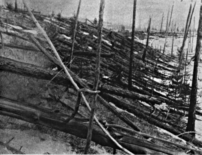 Trees were knocked down and burned over hundreds of square km by the Tunguska meteoroid impact. This image was taken in May 1929 during an expedition to the region led by Leonid Kulik.