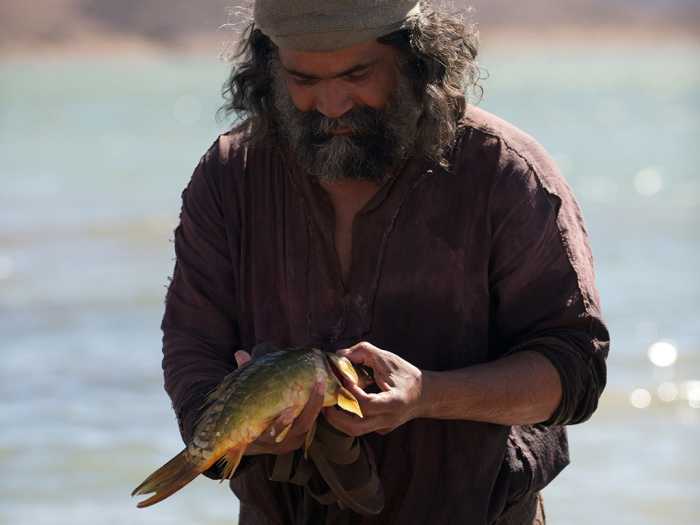 Jesus told Peter he'd find a coin for taxes in a fishes mouth