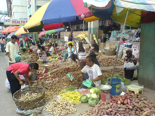 10 Root Crops Grown in the Philippines - Dengarden