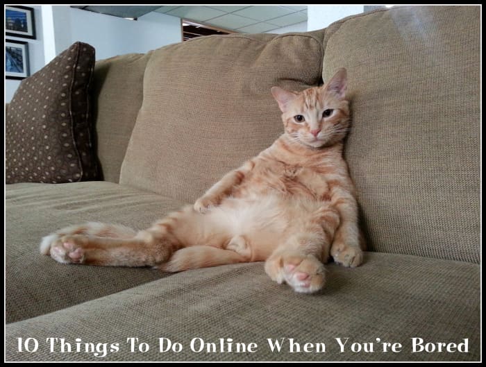 Looking at funny kitty pictures is always a good way to put a smile on your face.