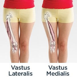 Open diagram showcasing the bones and the muscles of the leg with special emphasis on the Vastus Medialis Oblique and Lateralis Muscles