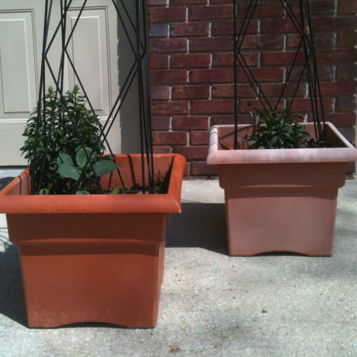 The before (right) and after (left) of my painting project for these old, faded plastic planters. Spray paint to the rescue!