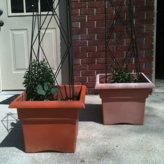 how-to-rejuvenate-plastic-plant-pots-with-paint-dengarden