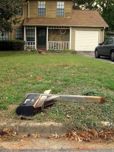 Your mailbox may survive a whole unholy host of horrors, but once hungry termites have their way it's all over.
