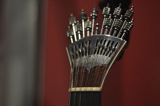 End of the neck of a Portuguese guitar