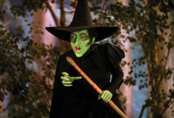 Make Your Own Wicked Witch of the West Costume - Diy Halloween Costume ...