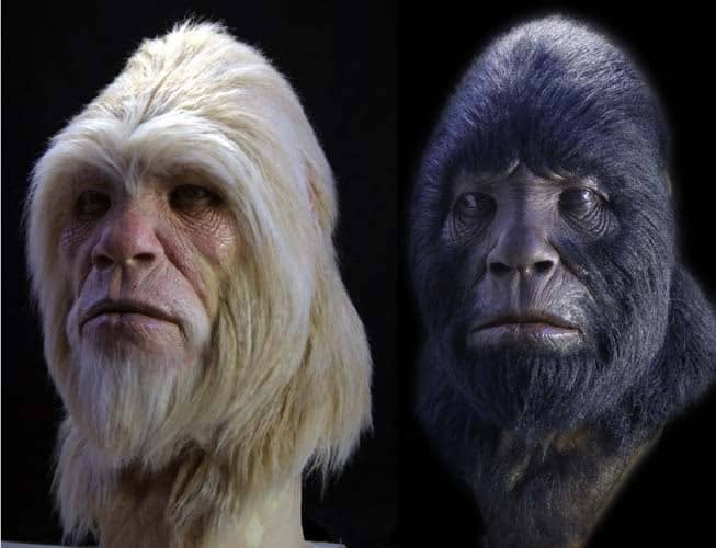 The Sasquatch People were created to be the protectors of all life on Earth, fifty million years before humanity arrived.