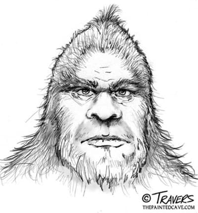 The Sasquatch People are our ancient fore bearers or Big Brothers and were created 50 million years before mankind.