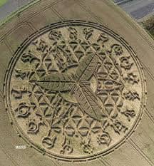 Here is Crop Circle that clearly depicts a plant in the middle. Could the message be that the energy used to create Crop Circles, also be used to create unlimited food supplies?