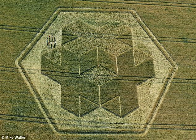 Crop Circes often show us the molecular structure of the Universe through the introduction of diagrams and schematics of Platonic Solids, the building blocks of the Universe.