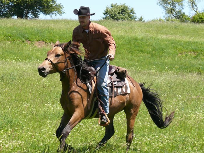 The episode called Gadget Goes West has a cowboy and horse theme in it and this photo symbolizes what the Inspector does in that episode.