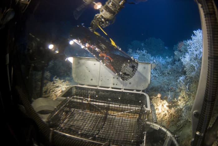 A photograph taken from inside a deep sea submersible craft, showing a robotic arm lifting a sample trap from the ocean floor